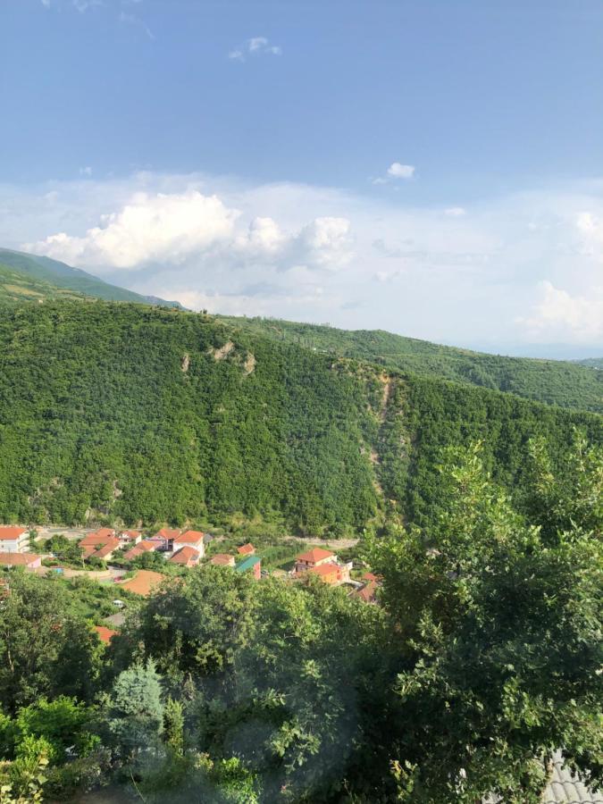 Bujtina Vrenezi Hotel Peshkopi Luaran gambar